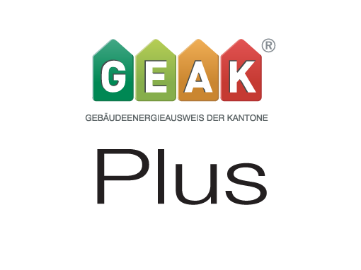 GEAK Plus – Logo