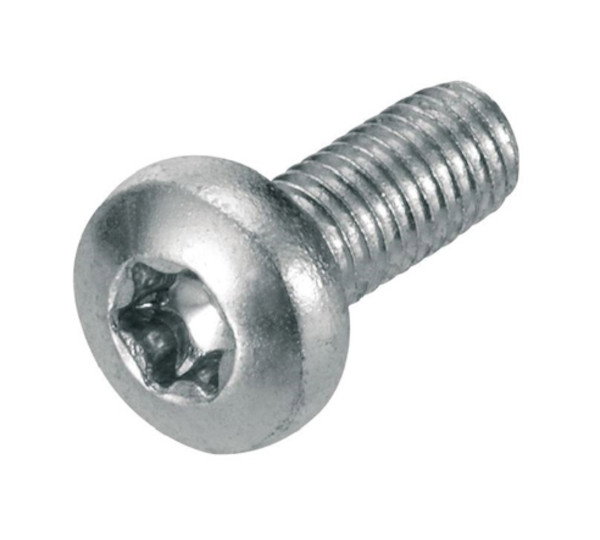 Schraube MSP-FR-S M6x16 (SU=200)