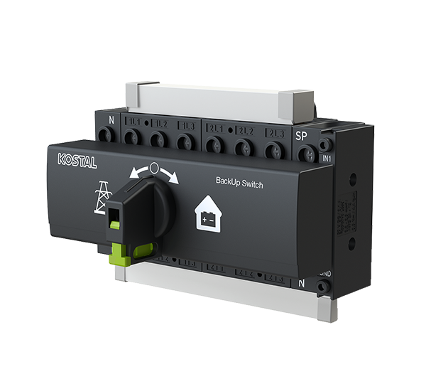 BackUp Switch