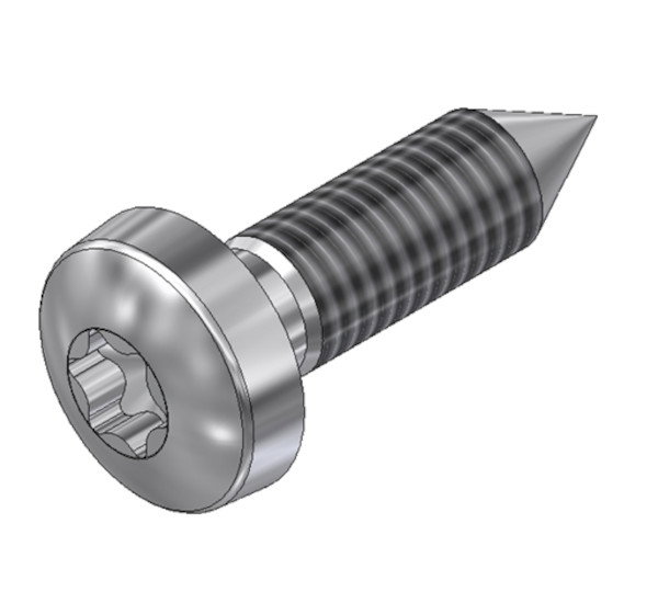 Schraube MSP-FR-TS 6,3x22 (SU=200)