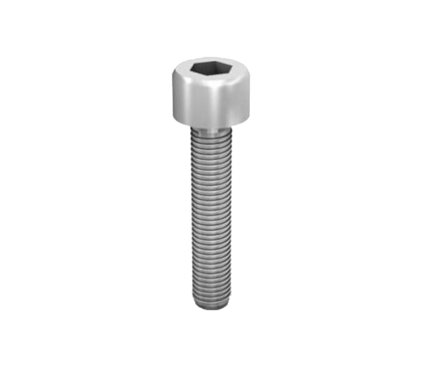 SC SC M8x55 HS (SER) (SU=100)